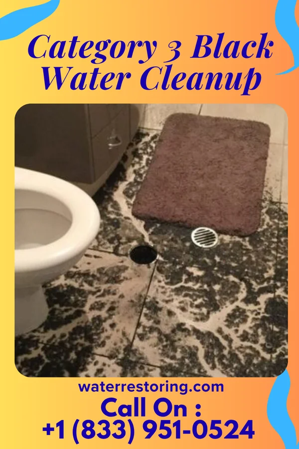 Category 3 Black Water Cleanup in Kaw City, OK